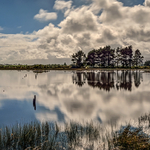 Baker Creek