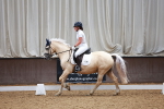 SBM_000781