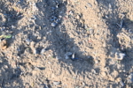 SBM_09419