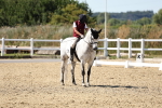 SBM_003364