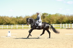 SBM_000207
