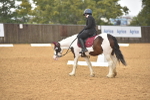 SBM_00463