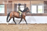 BPP_0250