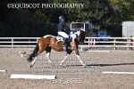 BPP_8653