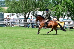SBM_08016