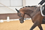 SBM_010321