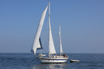 180506 COAST YACHT FOR SALE 1Y3A9528