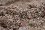 240623A-114112-17277