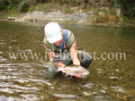Backcountry River Rainbow Hen.
