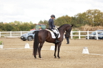 SBM_010982