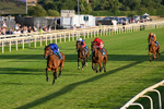 240726-Race 5-Diamond Rain-0526