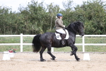 SBM_016749