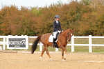 SBM_010528