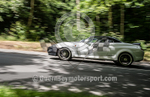 Heritage Charity Hillclimb_2014-238