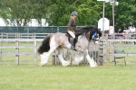 SBM_17634
