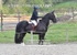 BPP_6628