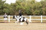 SBM_002717