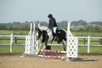 SBM_010695