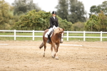 SBM_002739