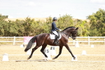 SBM_009467