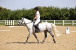 SBM_008216