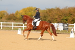 SBM_009344