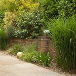 Garden photography by Ross Phillips of Forest Eyes Photography