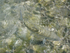Bonefish Release 2010.