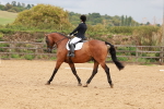 SBM_001944