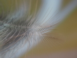 P3230134