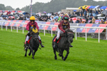 060926-Shetland Pony Race-Claredale Edward-6059