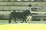 SBM_57390