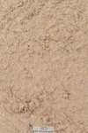 230511A-154651-01245