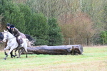 WJ6_4747