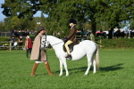 SBM_54046