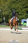 252-LVS_MOVISTAR-Elizabeth_Barratt-WEDTrotUp+DR portfolio