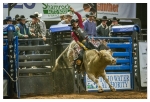 Rodeo Portfolio - Bull Riding 01