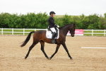 SBM_005353