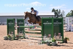 BPP_1684