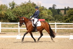 SBM_008571