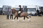 SBM_006145