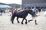 SBM_007255
