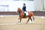 SBM_000493
