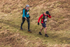 Loughrigg-980