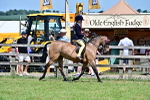 SBM_17542