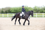 SBM_007140