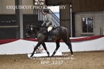 BPP_2237