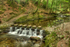 Tollymore Forest Park