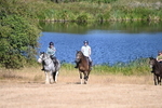WJ6_7753