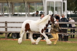 SBM_06036